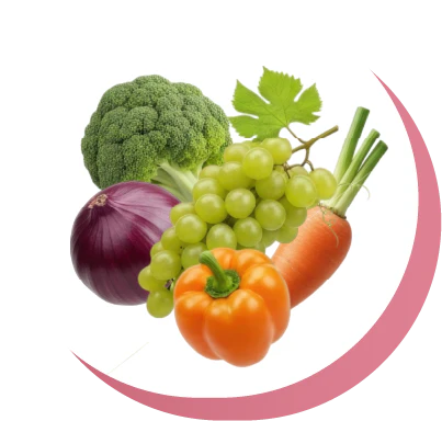 Vitamins C & B6